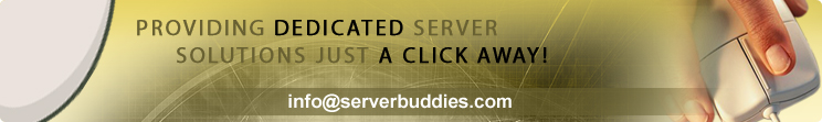Providing Dedicated Server Solutions Just a Click AWAY